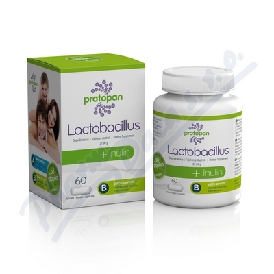 Protopan Lactobacillus + inulin tob.60